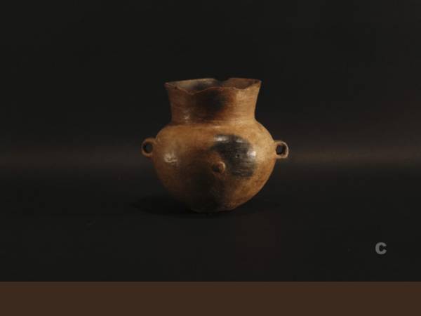 Vaso di piccole dimensioni dal  deposito (votivo ?) individuato ante 1901 ad oriente del nuraghe Sianeddu (Sinis di Cabras). Bronzo recente terminale  /  Bronzo finale (età nuragica).