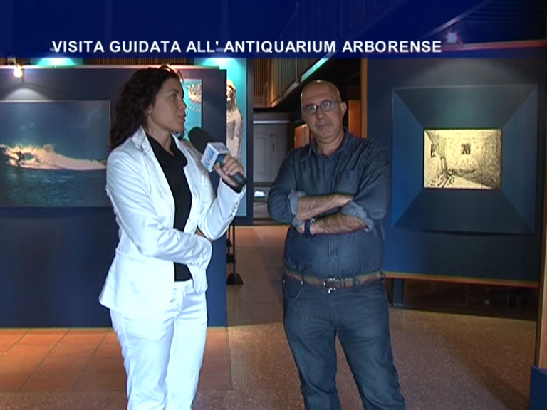 Visita all'Antiquarium Arborense - Seconda parte