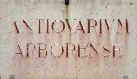 Iscrizione marmorea Antiquarium Arborense