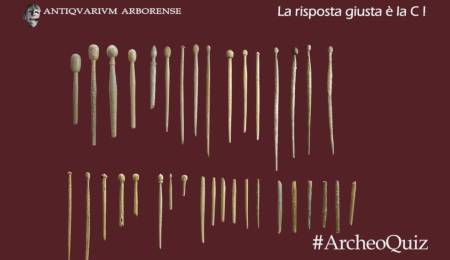 Gli aghi crinali conservati presso l'Antiquarium Arborense